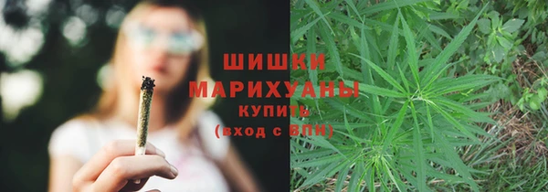 СК Зеленодольск