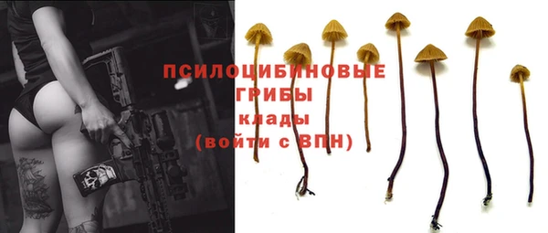 наркотики Зеленокумск