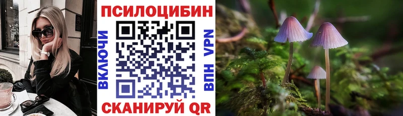 Псилоцибиновые грибы ЛСД Унеча