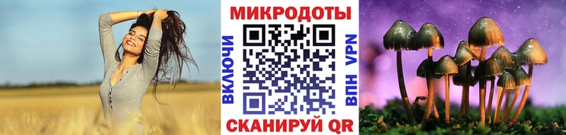 Галлюциногенные грибы Psilocybine cubensis  Купить где  Унеча 